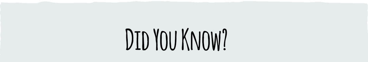 Did You Know?
