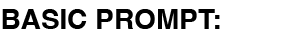 Basic Prompt: